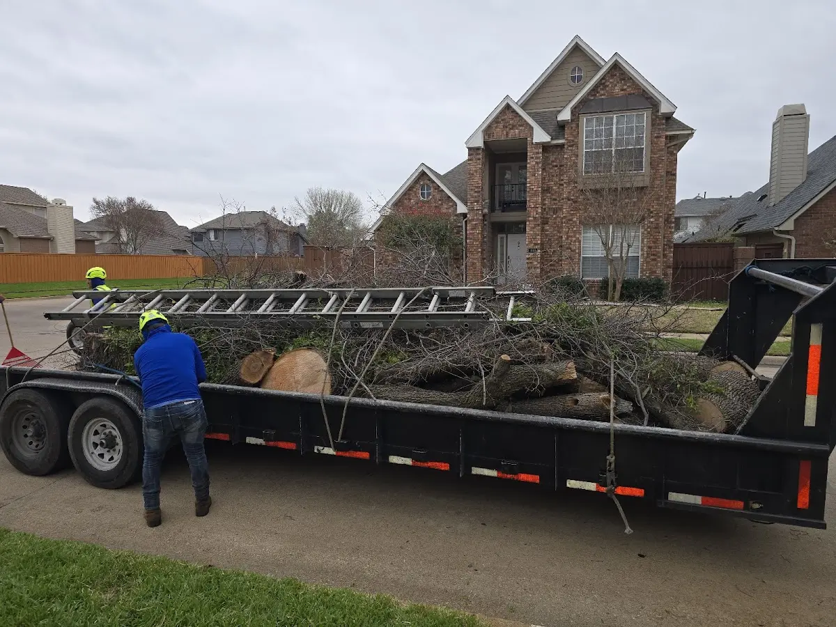 Expert Tree Pest Control with proper safety equipment in Wisconsin Rapids